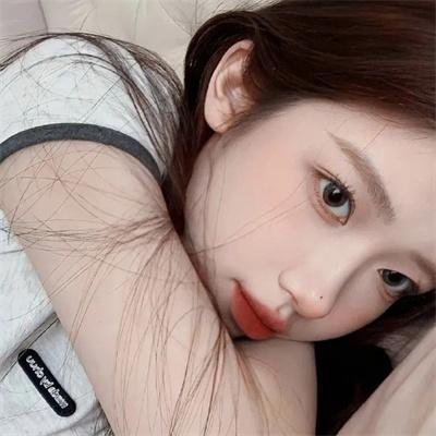 哈兰·科本的庇护所