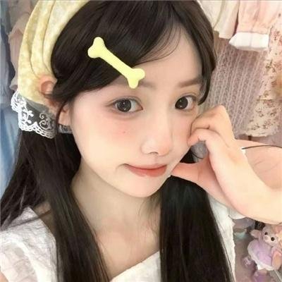 案中案